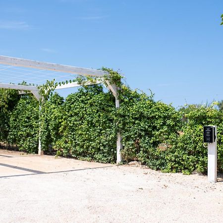 Hasamami Eco Trullo, Ostuni Luxury Suite Exteriér fotografie